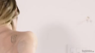 Смотри Casey Kisses Gives Ruckus a Tattooed Blowjob - топовое порно в 4K на FULL-PORN.COM