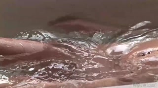 Смотри Yanna’s Skinny Body in Hot Bath - топовое порно в 4K на FULL-PORN.COM