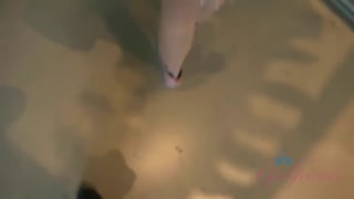 Смотри Paris White Outdoor Shower Pissing - Shaved Blonde Exhibitionist - топовое порно в 4K на FULL-PORN.COM