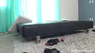 Смотри Young Veronica Gets Fucked - Big Ass & Tattoo Fun - топовое порно в 4K на FULL-PORN.COM