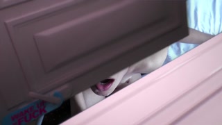 Смотри Young and Beautiful Julyana Rain's Debut - топовое порно в 4K на FULL-PORN.COM